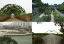 [RANK AND TALK] 4 Most Beautiful Parks in Seoul